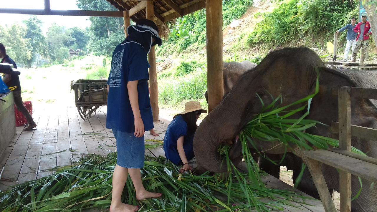 Mahout Hotel Luang Prabang Eksteriør billede